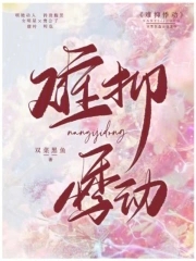 男艺伎回忆录